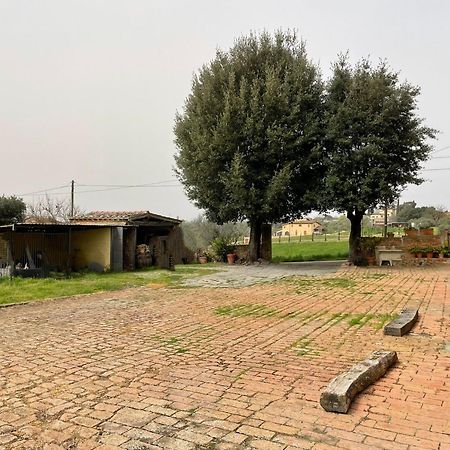 Podere Piazza シエーナ エクステリア 写真