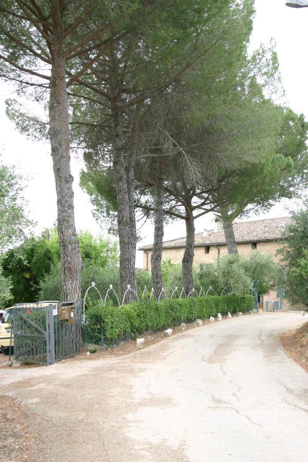 Podere Piazza シエーナ エクステリア 写真