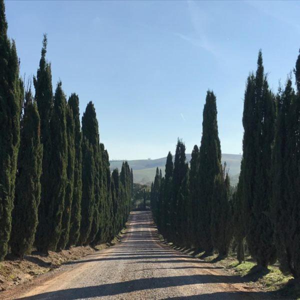 Podere Piazza シエーナ エクステリア 写真