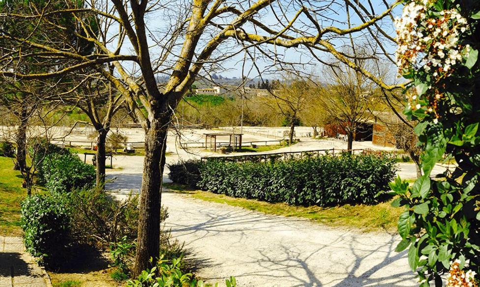 Podere Piazza シエーナ エクステリア 写真